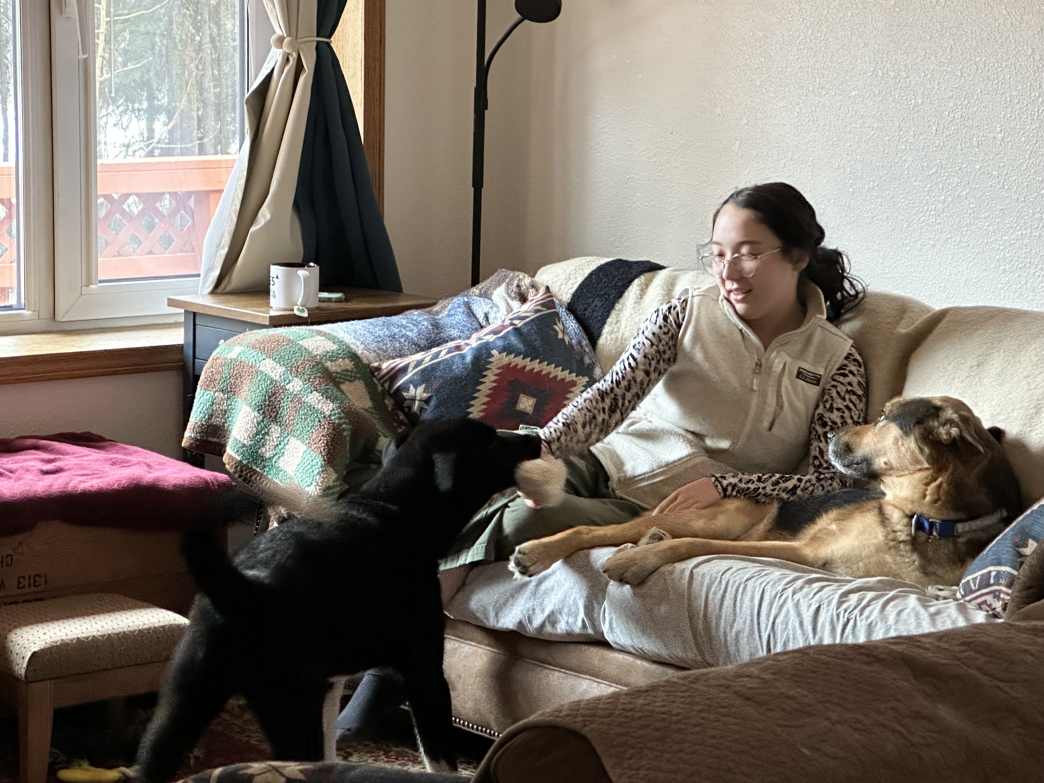 Olivia Curtis professional dog sitter in Braintree MA relaxing with dogs on the South Shore